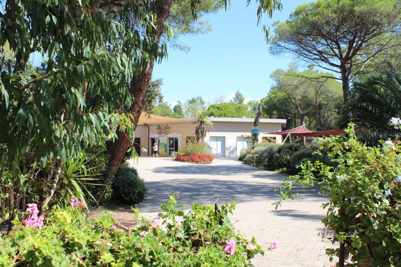 Camping Campo Dei Fiori - Glamping4All Vada Εξωτερικό φωτογραφία